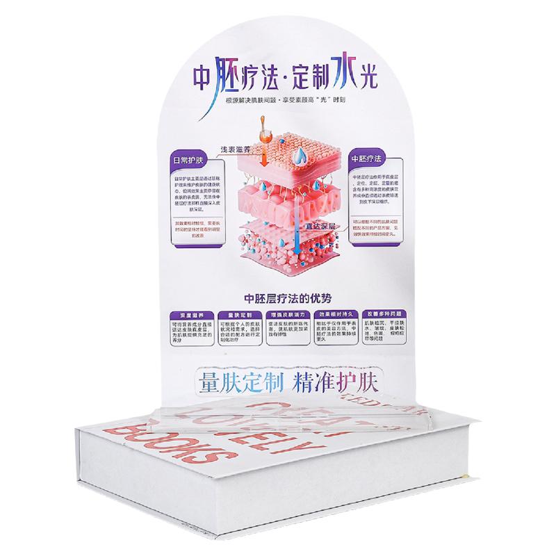 美容院桌面装饰摆件分层抗衰肌肤结构亚克力医患沟通皮肤解剖知识
