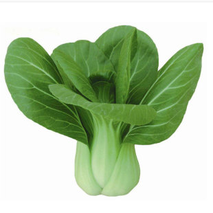 脆嫩鸡毛菜种子小白菜籽青菜种籽黑大头上海青菜种子四季速生蔬菜