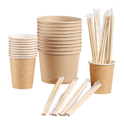 美宝琳一次性餐具碗筷杯组合套装