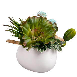 晶华造花仿真绿植多肉盆栽客厅假花花艺茶几接待台装饰桌面小摆件