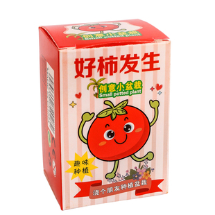 儿童植物种植盆栽盲盒小学生奖品儿童节礼物励志奖励幼儿园小礼品