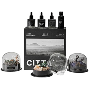 CITTA西苔旷野秘境香薰扩香石礼盒高级晶石摆件男生家居摆件送礼