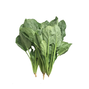 有机菠菜新鲜采摘小青菜凉拌榨汁火锅农场配送自然健康无农残蔬菜