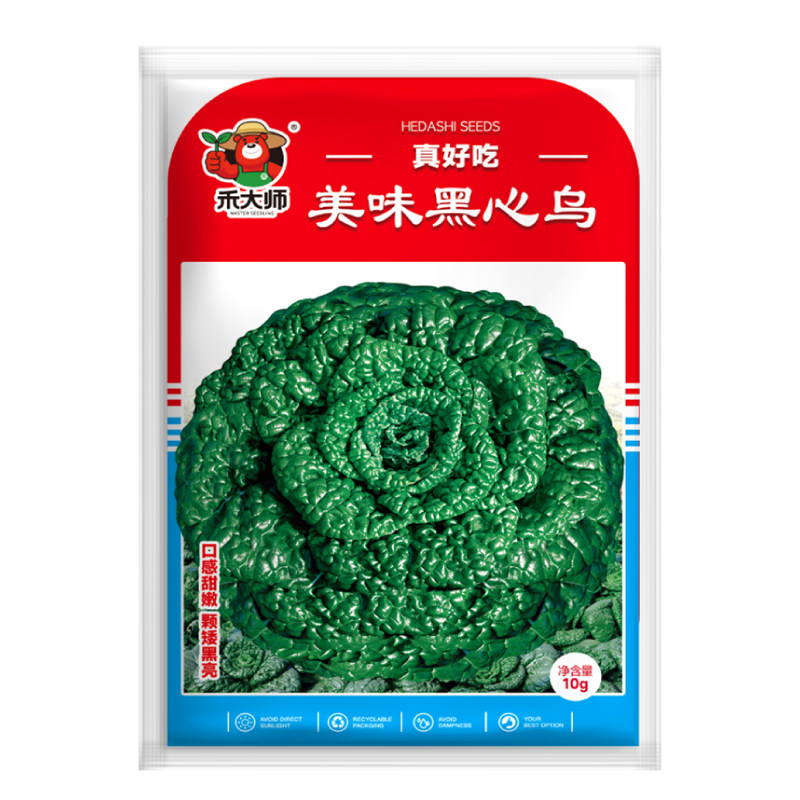 黑心乌塌菜种子耐寒可越冬黑菜黄心乌蔬菜种籽农家盆栽田园小院