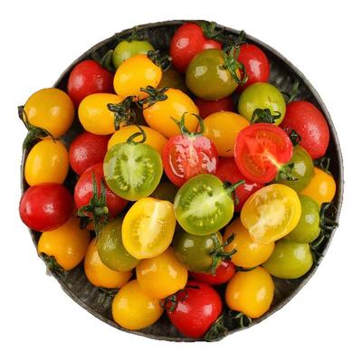 三色混装小番茄新鲜圣女果现摘青甜2号夏日阳光千禧果小柿子整箱