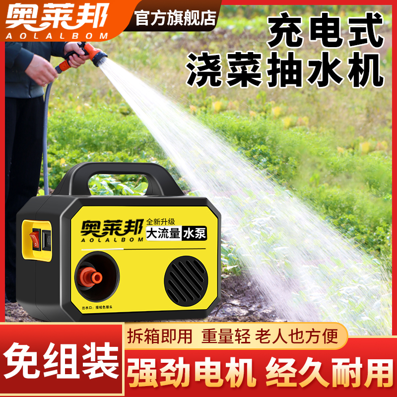 浇菜神器浇水机农用浇地抽水机灌溉充电式农村菜地锂电自动抽水泵