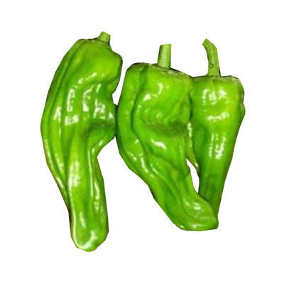 薄皮辣椒农家早熟高产