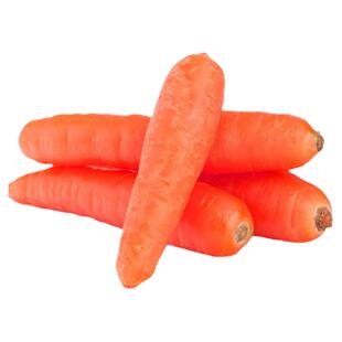 春红玉胡萝卜种子 耐抽苔脆甜四季播水果 农家大田春季播胡萝卜籽