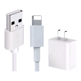 正品适用苹果ipad迷你平板mini2快充数据线A1489A1490充电器A1491A1432A1454A1455A1600A1475A1599电脑爱派