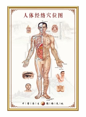 足部反射区穴位图人体经络图海报