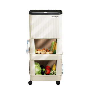 厨房垃圾桶家用大容量滑盖可移动双层高款免弯腰专用日式可置物架