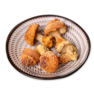 非野生食用菌干货汤料姬松茸