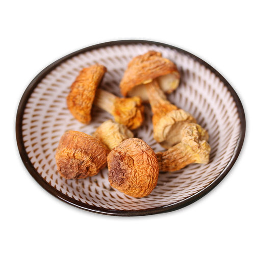 非野生姬松茸 巴西菌菇 姬松菌 姬松菇食用菌干货 汤料