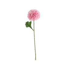 单支欧式高蒲公英客厅家居摆件干花1
