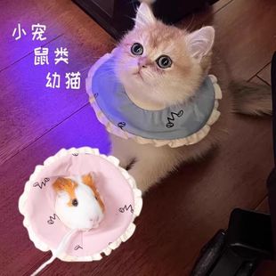 宠物伊丽莎白圈幼猫荷兰猪防咬防舔耻辱圈龙猫兔子仓鼠头套项圈软