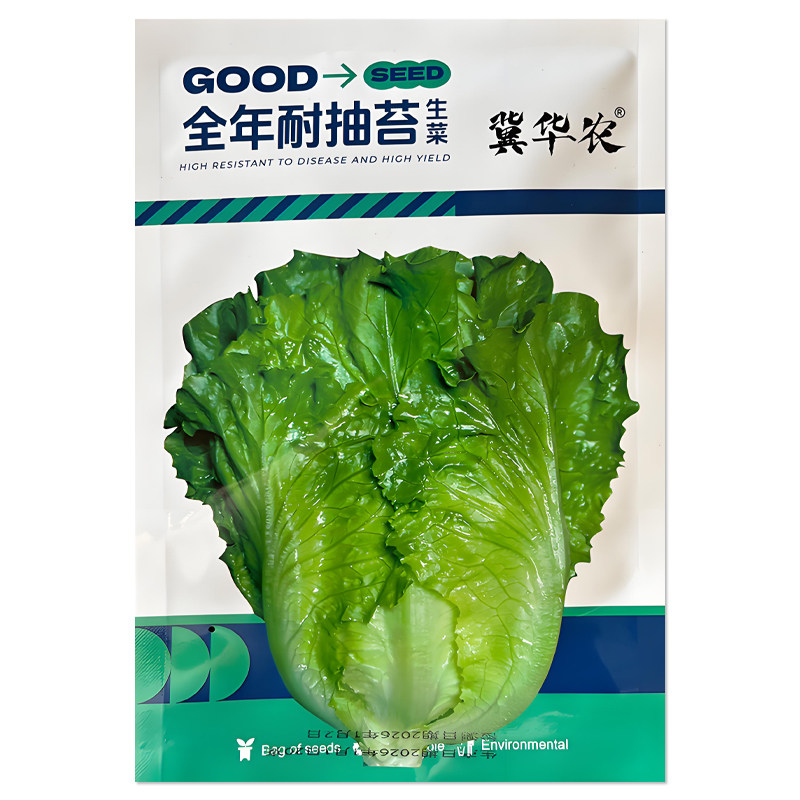 冀华农全年耐抽苔生菜种子