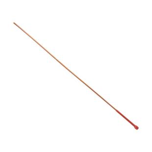 藤条W.H Spank新加坡鞭刑藤条-教鞭训犬小圈实践工具惩戒管教指读