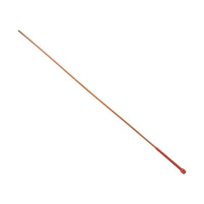 W.HSpank新加坡鞭刑藤条