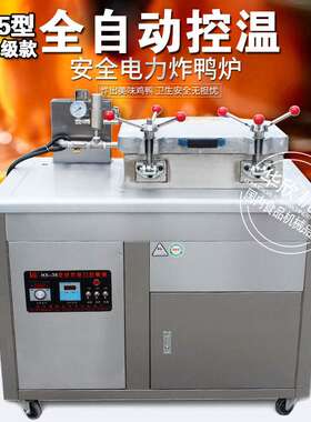 HX-35型全电炸鸭炉  燃气炸鸭炉  HX-30型炸鸡炉 厂家直销