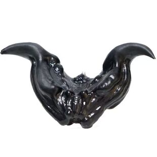 湖南青菱角现采新鲜当季食用嫩牛角1/5斤高产蔬菜乌青籽凌角种