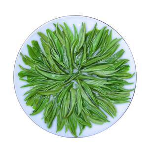 2025明前茶浓香型新茶广西昭平毛尖碧螺春绿茶100g散装绿茶叶3号