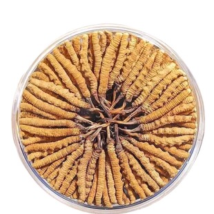 假一赔十冬虫夏草2025年那曲头期正品虫草正宗整草干货礼盒装滋补