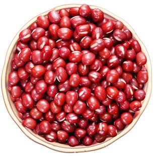 【25新货】红豆批发农家红小豆易煮出沙豆馅豆浆五谷杂粮粗粮批发