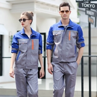 Пять династий серого синего плеча