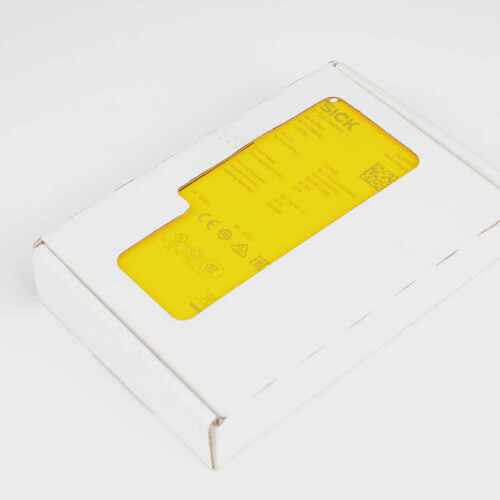 Sick RLY3-TIME100 1100688 Safety Relay Module