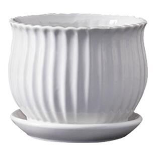 花盆陶瓷蝴蝶兰白色简约特价多肉盆轻奢高级感家用大中小号绿萝盆