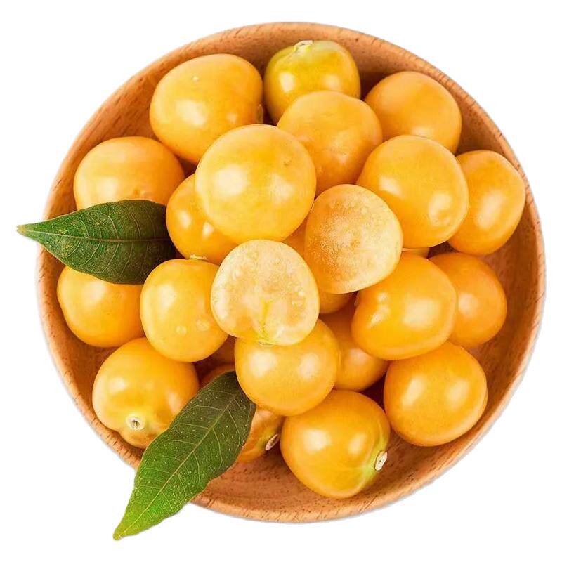 太守府东北姑娘果黄姑娘果