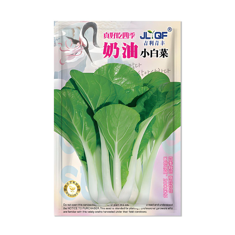 四季奶油小白菜种子蔬菜种子