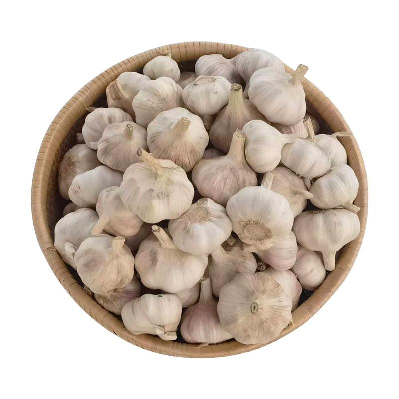 邳州鲜大蒜头干蒜多蒜瓣自然晾晒