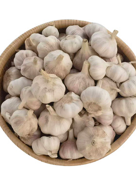 邳州鲜大蒜头干蒜多蒜瓣自然晾晒