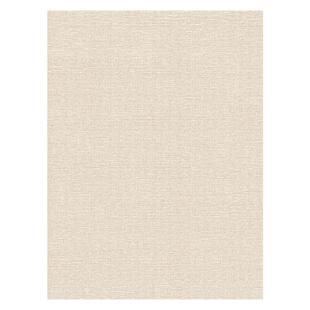 素色亚麻纹地毯客厅纯色轻奢高级感沙发茶几毯日式侘寂风卧室地垫