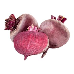 红甜菜种子红甜菜根种籽紫菜头根糖量高四季甜菜春秋盆栽农家菜园