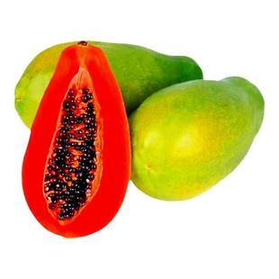 水果木瓜苗矮化冰糖红心木瓜苗四季庭院盆地裁当年结果青木瓜树苗