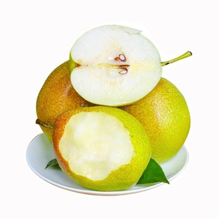 山东阳信正宗媚梨酥梨七号薄皮脆甜多汁当季梨子水果新鲜整箱香梨