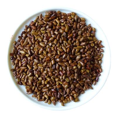崔小姐的茶决明子宁夏颗粒饱满