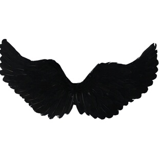 万圣节化妆舞会派对翅膀酒吧游戏恶魔翼扮装情侣装翅膀黑色大翅膀
