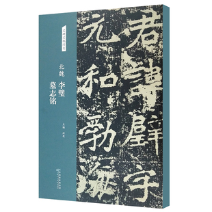 北魏李璧墓志铭名碑名帖经典楷书字帖临摹入门基础训练简体旁注魏碑李璧墓志字帖8开放大版书法碑帖洪亮主编 天津人美