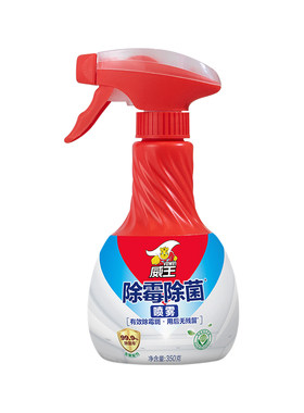 墙体墙面去霉斑除霉菌喷雾除霉剂
