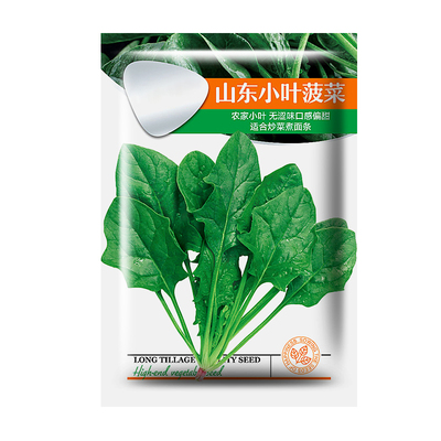 农家菠菜种子耐寒耐热四季