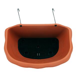 爱丽思iris花型纹壁挂花盆加厚半圆挂墙塑料带挂钩多肉吊兰爱丽丝