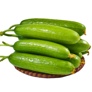 水果青瓜新鲜蔬菜沙拉脆嫩荷兰小青瓜沙拉食材沙拉蔬菜水果小黄瓜