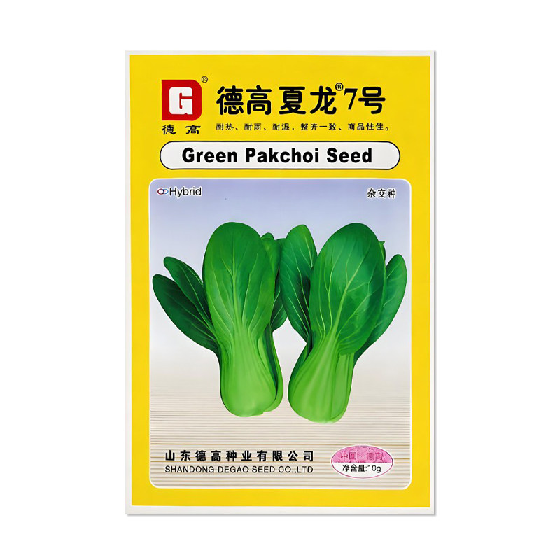 德高夏龙7号小青菜种子