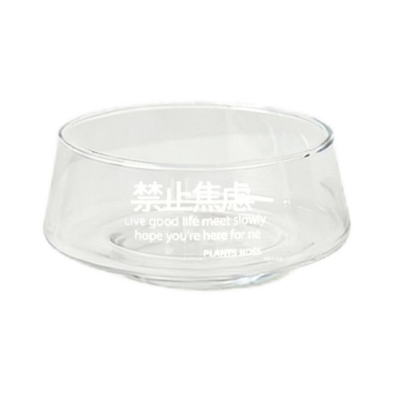 透明玻璃苔藓球水培花盆
