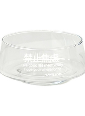 透明玻璃苔藓球水培花盆