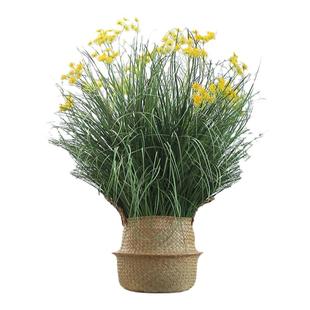 仿真绿植满天星草丛北欧ins网红仿生植物室内客厅商店橱窗造景角