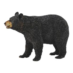 【88698美洲黑熊】CollectA官方授权正版动物模型早教玩具